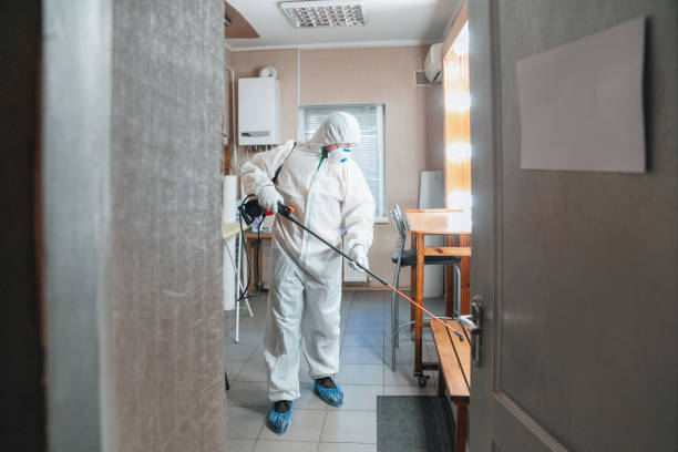 Best Mold Odor Removal Services  in Bunnell, FL