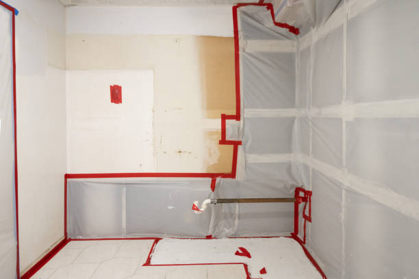 Mold Removal for HVAC Installations in Bunnell, FL