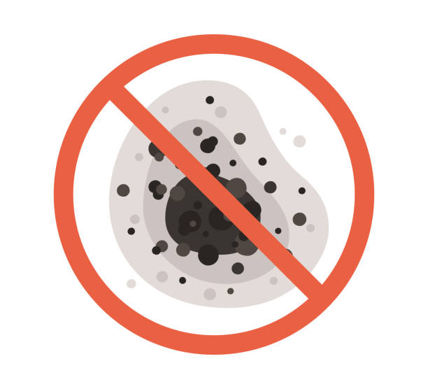 Trusted Bunnell, FL Mold Removal Experts